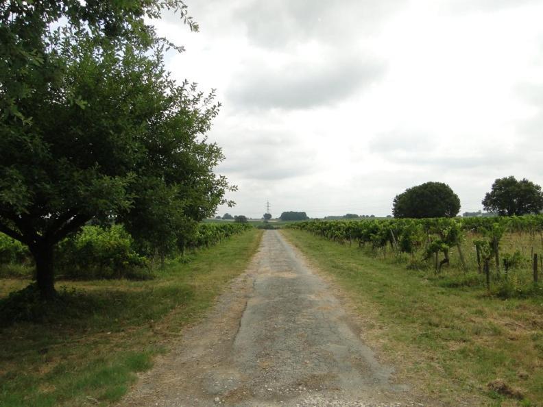 Chateau Monichot Organic Vineyard Tauriac  Eksteriør billede
