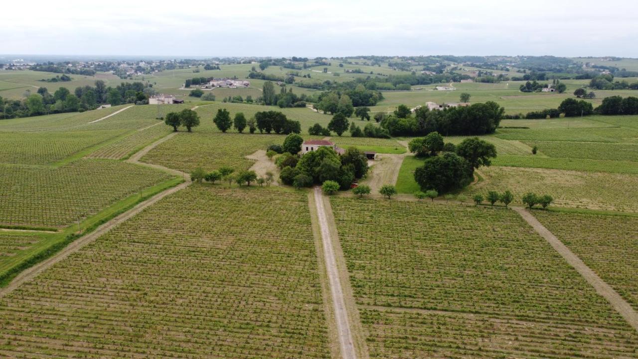 Chateau Monichot Organic Vineyard Tauriac  Eksteriør billede